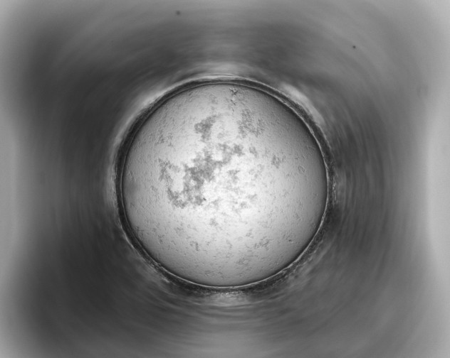 X0000096951464200802221312