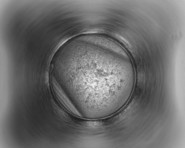 X0000096951465200802221312
