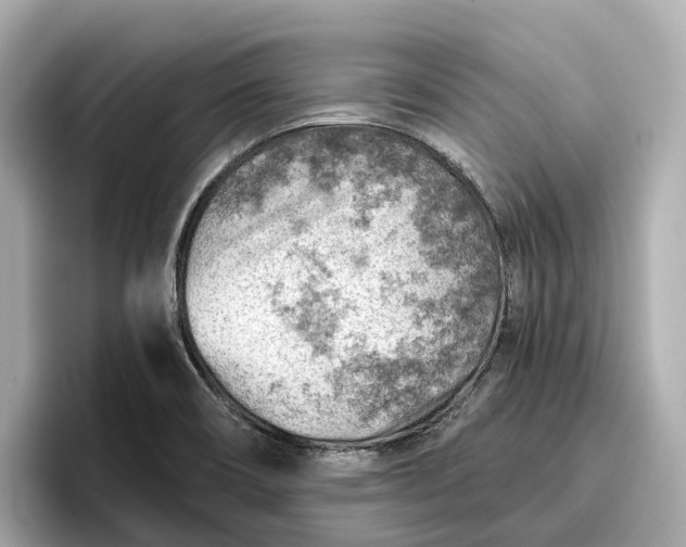 X0000096951466200802221312
