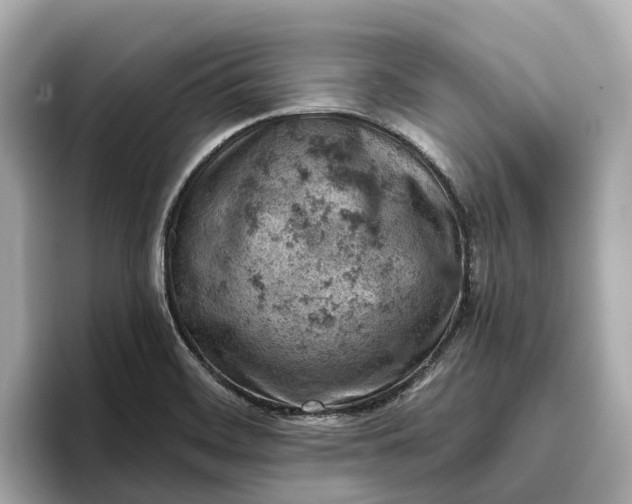 X0000096951468200802221312