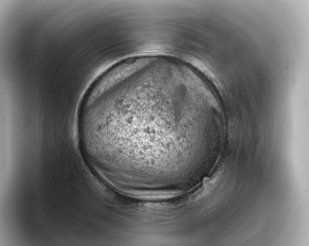 X0000096951469200802221312