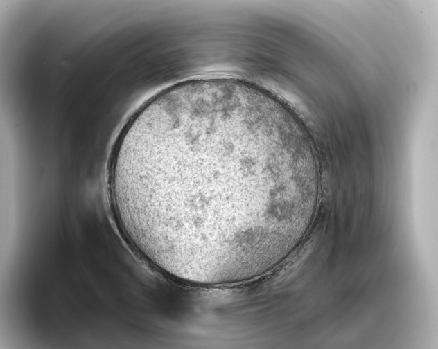 X0000096951470200802221312