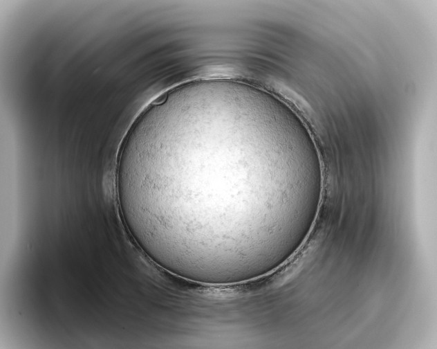 X0000096951473200802221312