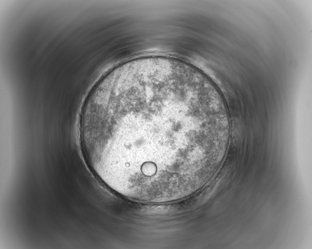 X0000096951474200802221312