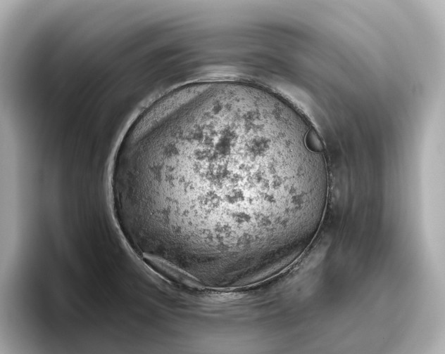 X0000096951475200802221312
