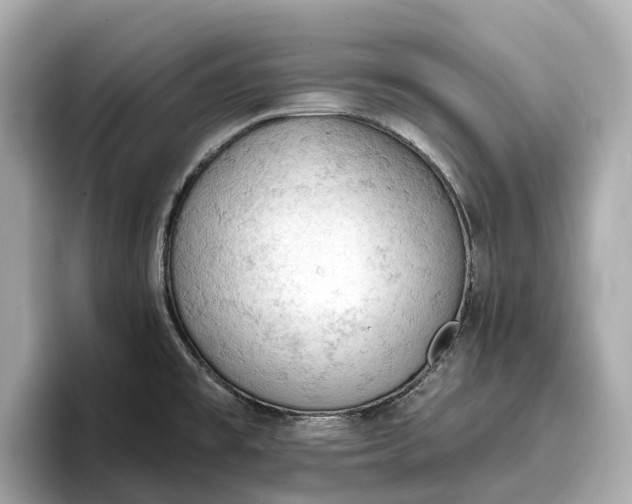 X0000096951477200802221312