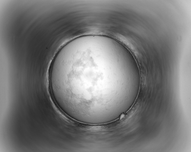 X0000096951479200802221312