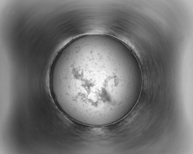 X0000096951480200802221312