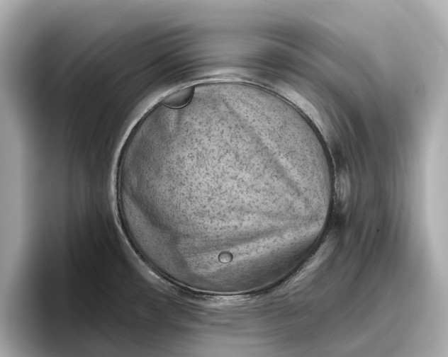 X0000096951482200802221312
