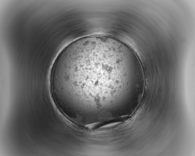 X0000096951483200802221312