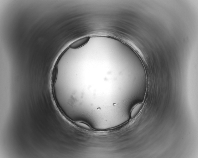 X0000096951484200802221312