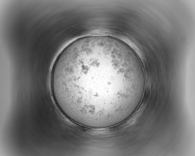 X0000096951486200802221312