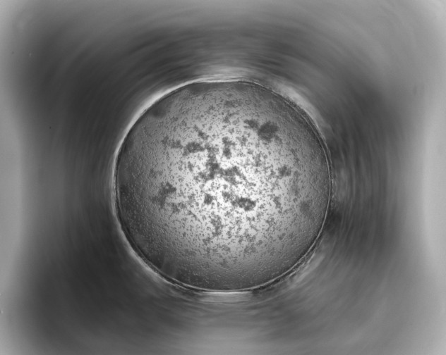 X0000096951487200802221312