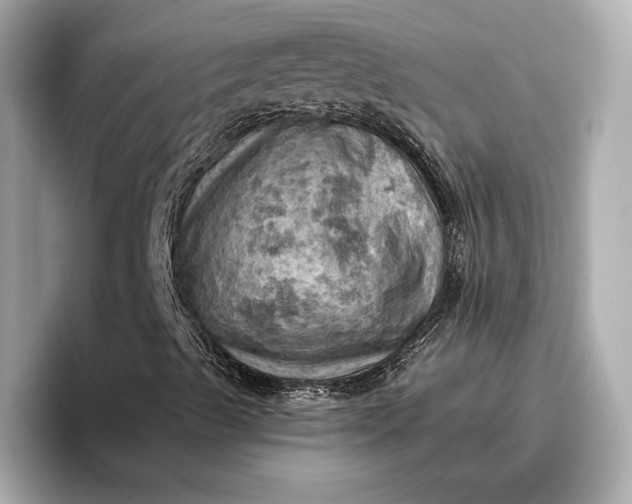 X0000096951489200802221311