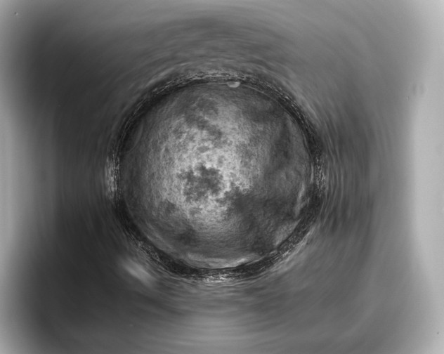 X0000096951490200802221311