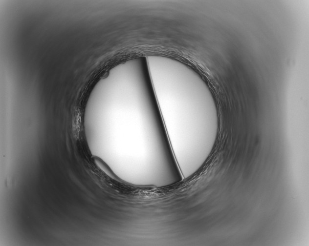 X0000096951492200802221311
