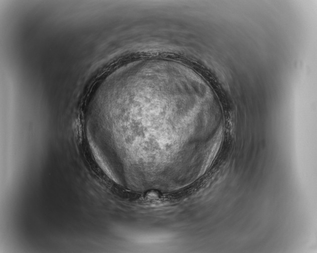 X0000096951493200802221311