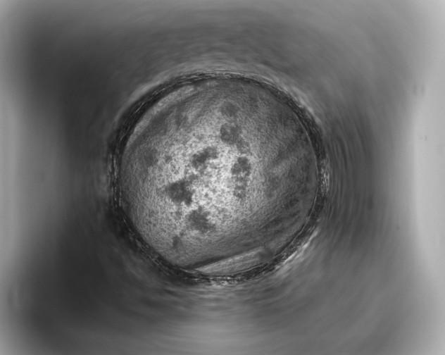 X0000096951494200802221311