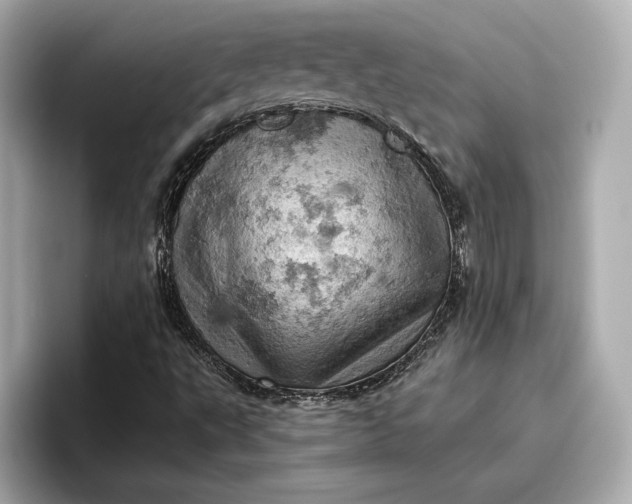 X0000096951495200802221311