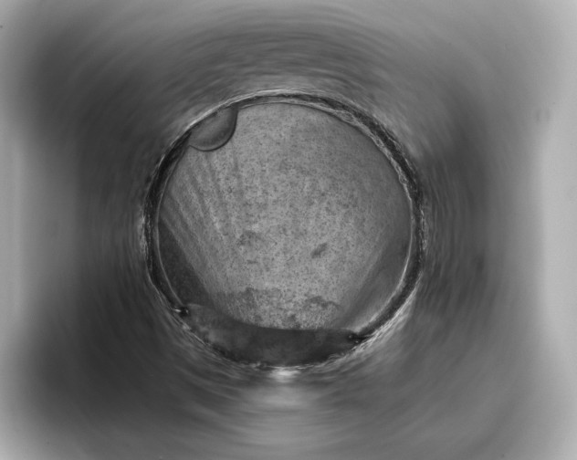 X0000096951497200802221311