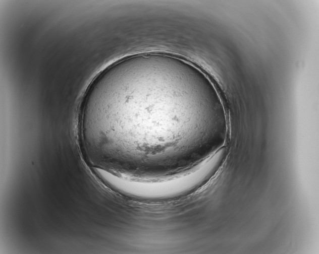 X0000096951500200802221311
