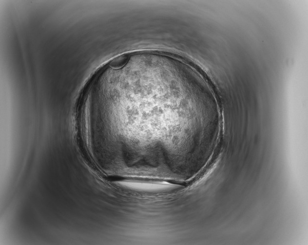 X0000096951501200802221311