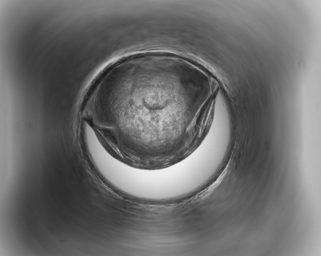 X0000096951502200802221311