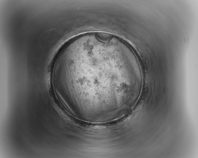 X0000096951503200802221311