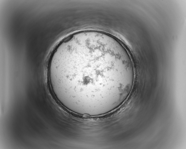 X0000096951504200802221311