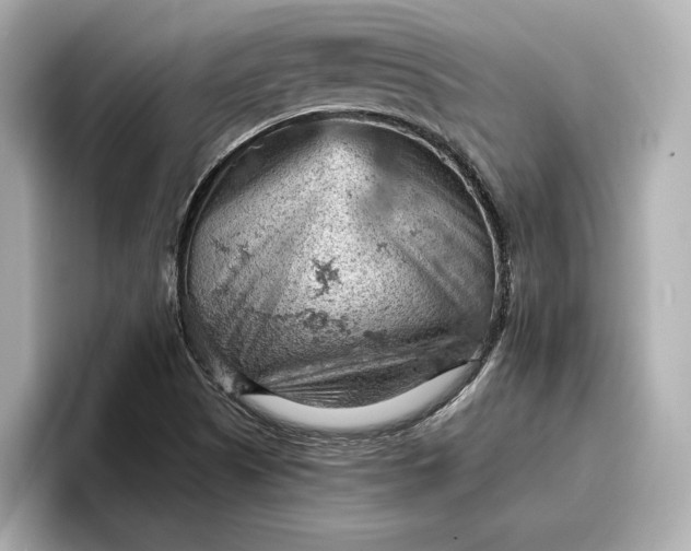 X0000096951505200802221311