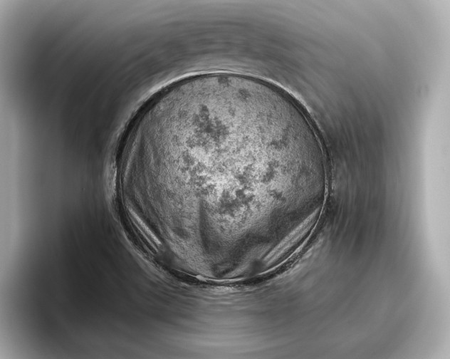 X0000096951507200802221312