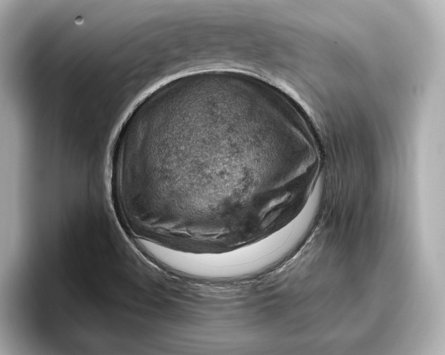 X0000096951508200802221312