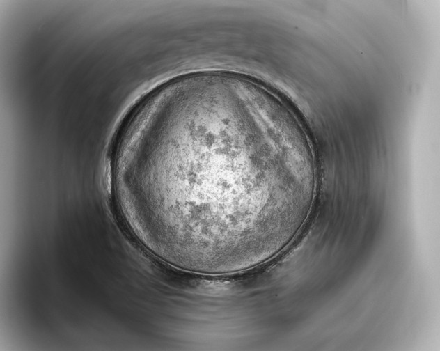 X0000096951509200802221312