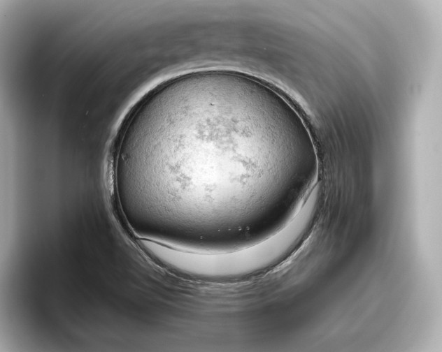X0000096951510200802221312