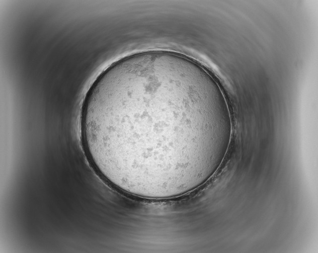 X0000096951512200802221312