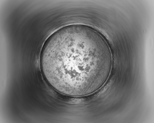 X0000096951513200802221312