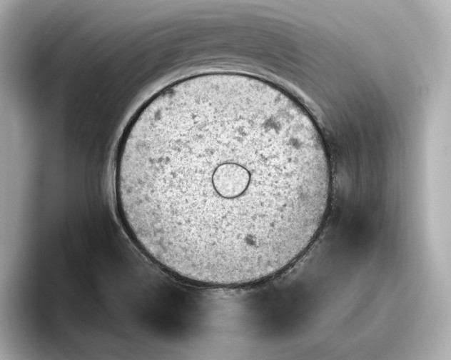 X0000096951514200802221312