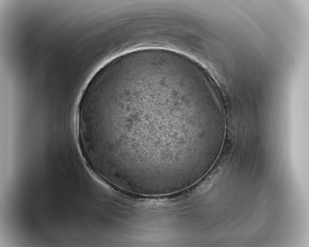 X0000096951519200802221312