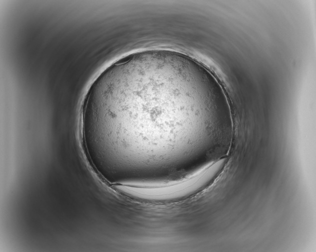 X0000096951520200802221312