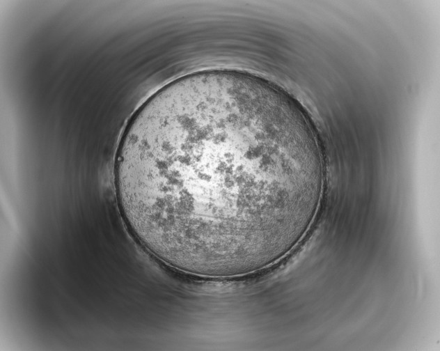 X0000096951521200802221312