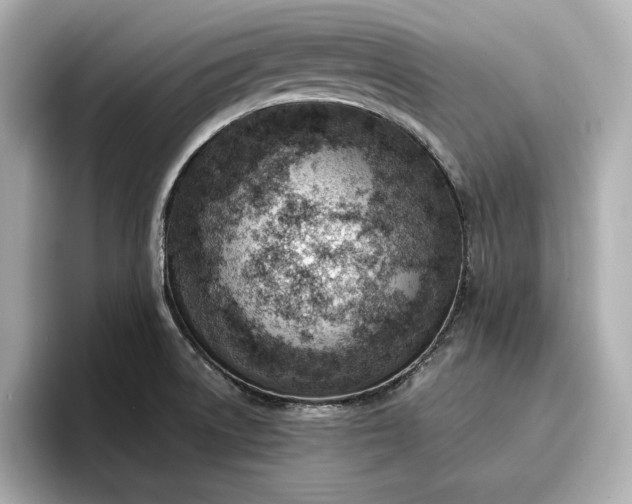 X0000096951522200802221312