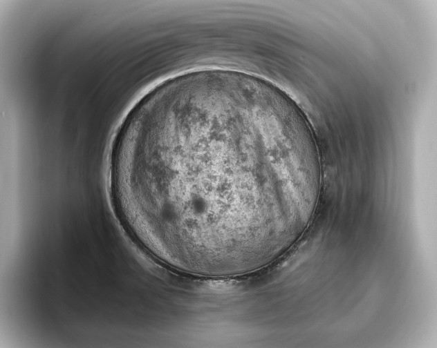 X0000096951523200802221312