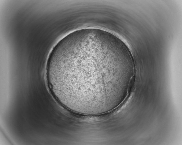 X0000096951525200802221312