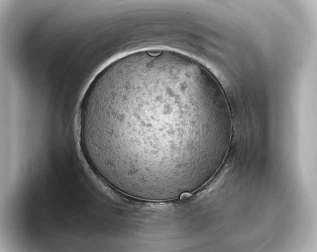 X0000096951526200802221312