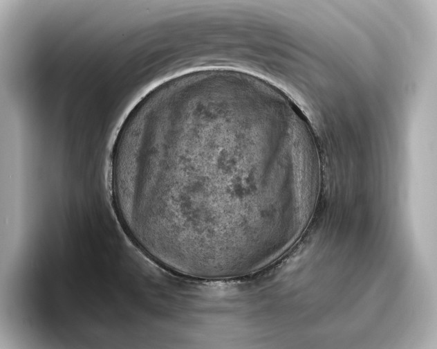 X0000096951527200802221312