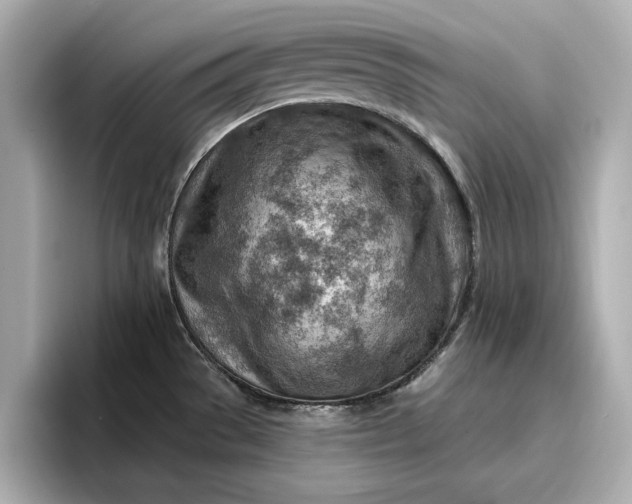 X0000096951529200802221312