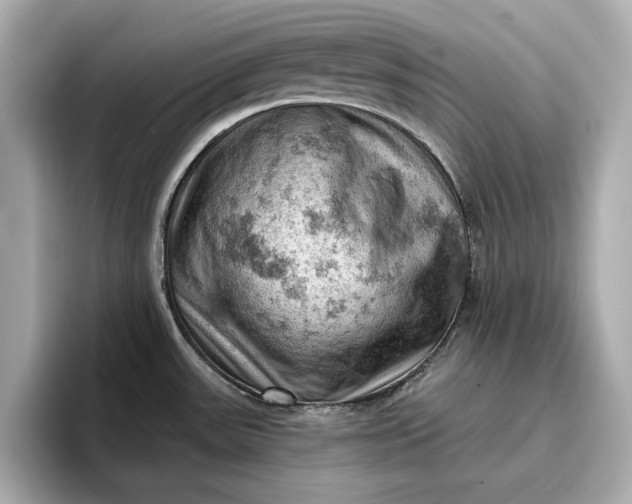 X0000096951531200802221312
