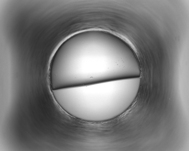 X0000096951532200802221312