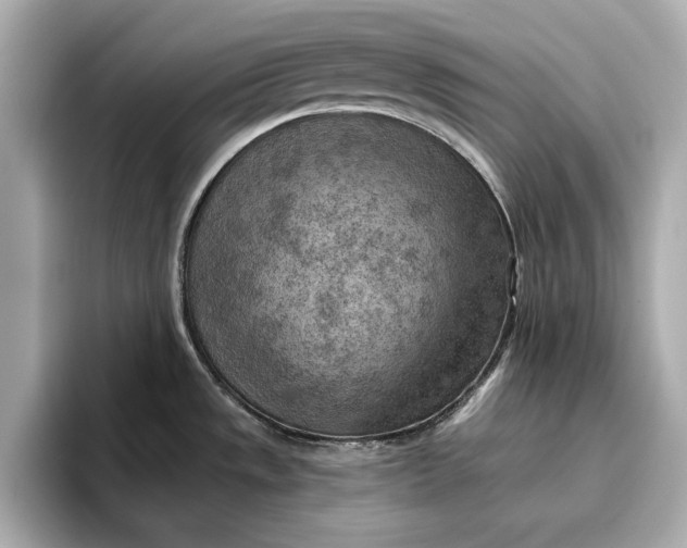X0000096951533200802221312