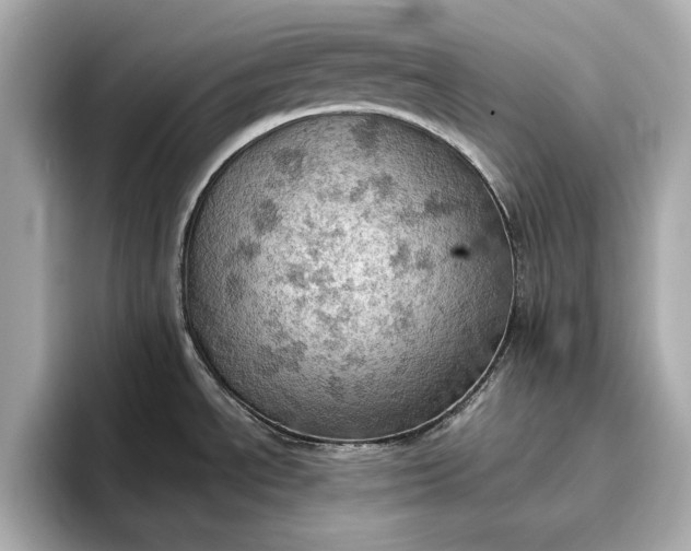 X0000096951534200802221312